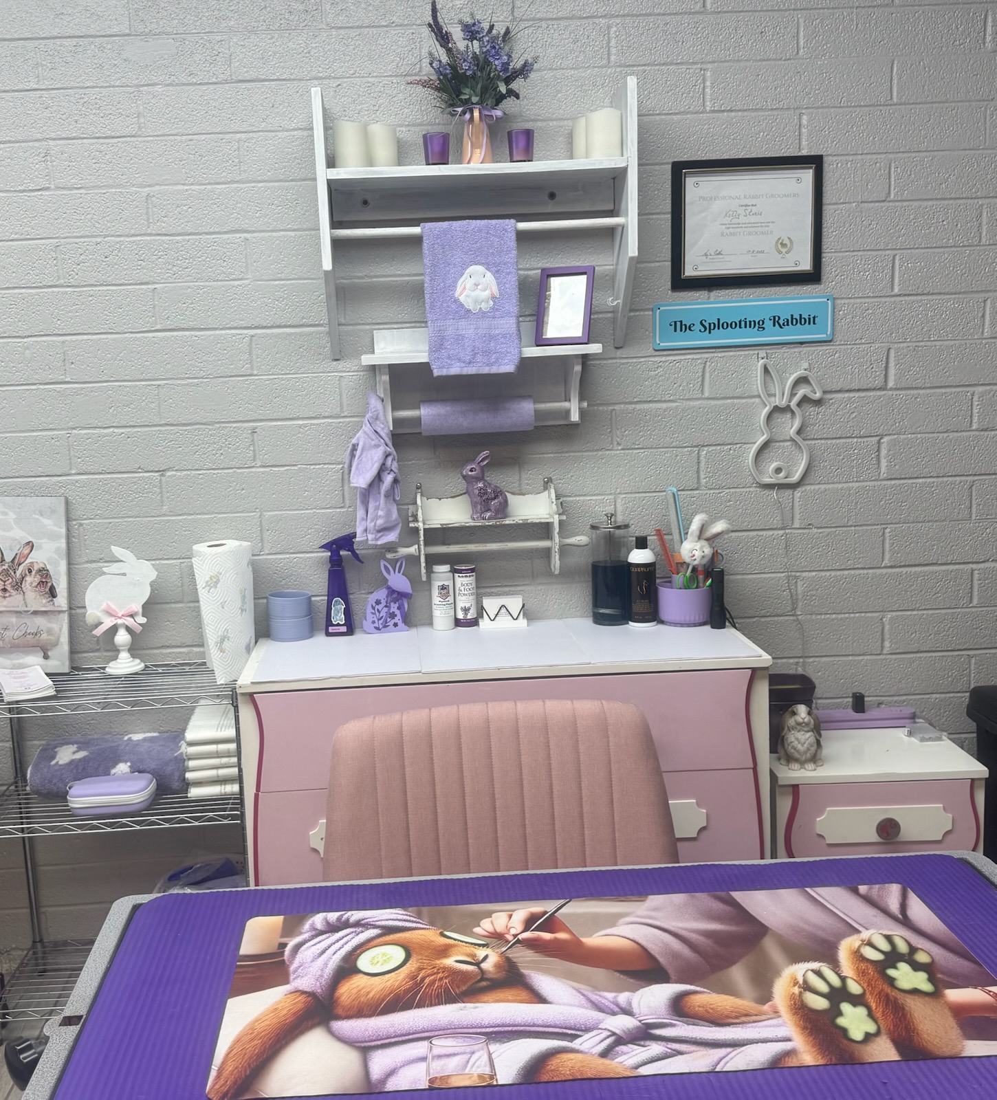 The Splooting Rabbit salon setup